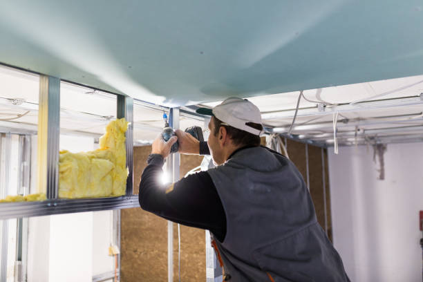 Best Cellulose Insulation in Waterford, WI
