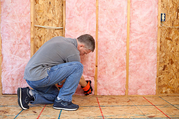 Best Geographic-Specific Insulation Services in Waterford, WI
